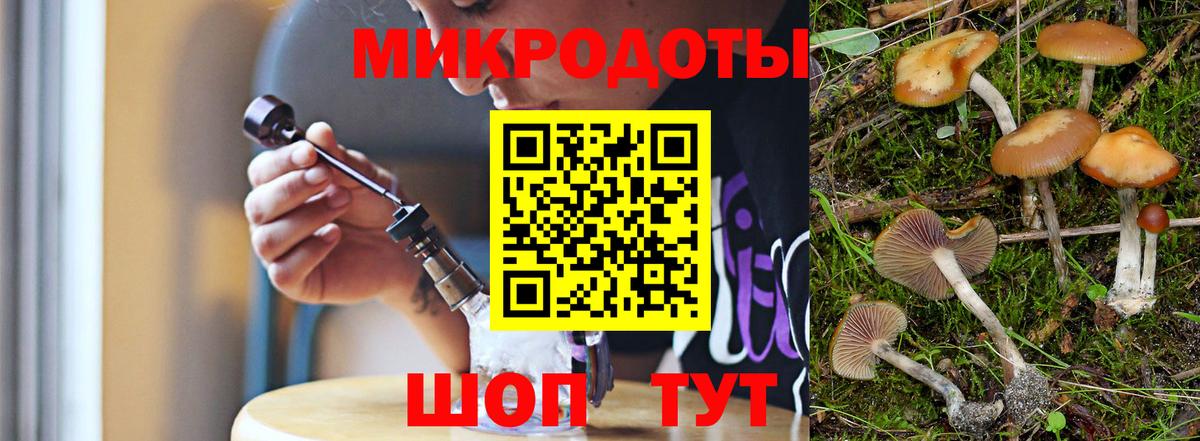 Псилоцибиновые грибы прущие грибы  Псилоцибиновые грибы GOLDEN TEACHER  Краснокаменск  Вход с VPN 
